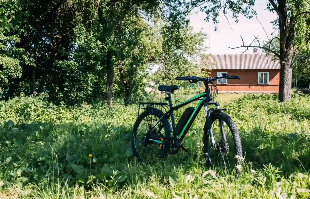 Hybrid Bike