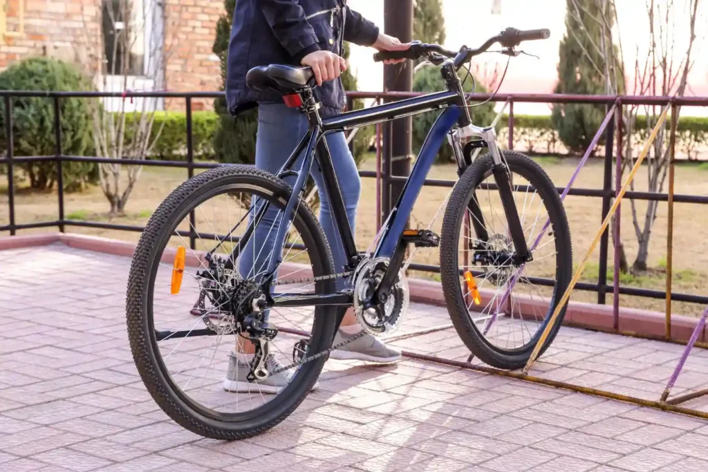 Hybrid Bike